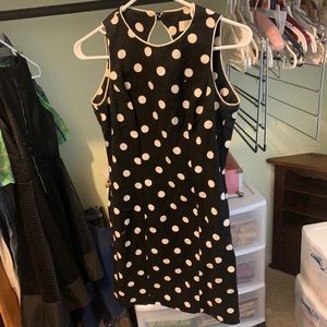 Petite sophisticate polka dot dress